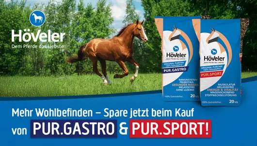 Höveler Pur.Gastro & Pur.Sport im Angebot