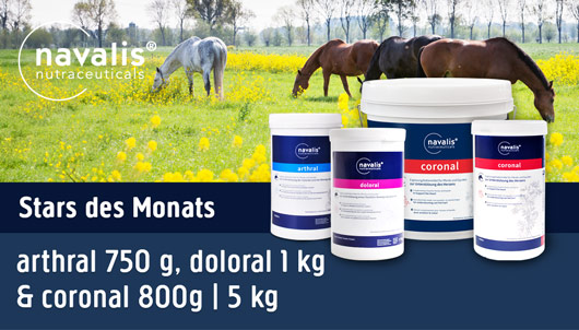 Navalis Arthral, Doloral & Coronal im Angebot