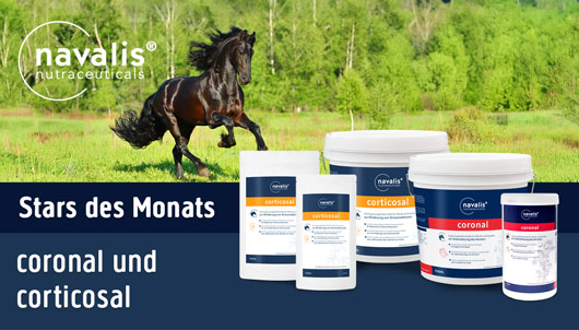 Navalis Coronal & Corticosal im Angebot