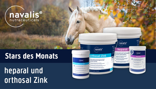 Stars des Monats Navalis