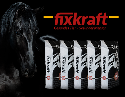 Neuheiten bei HippoSport