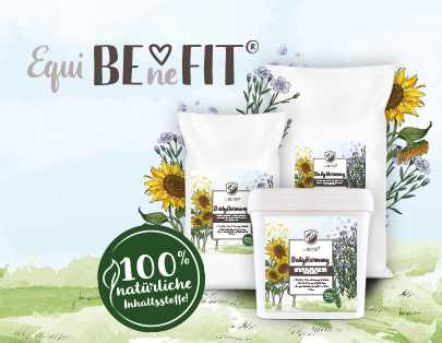 Equibenefit DailyHarmony