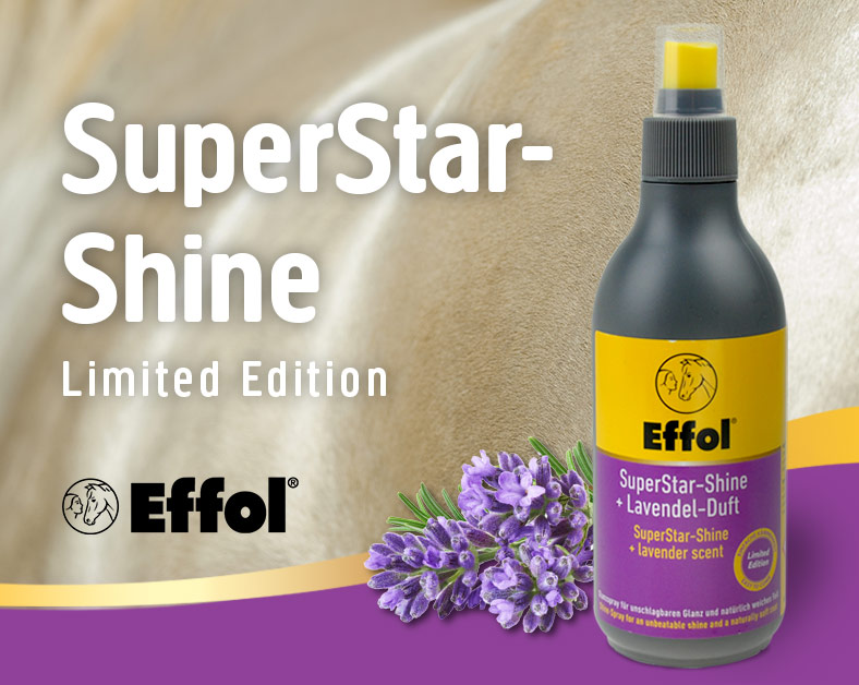 Neu: Effol SuperStar Shine Lavendel