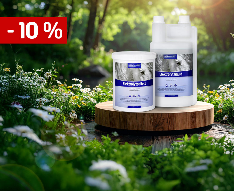 Deal des Monats Elektrolyt Liquid und Pellet